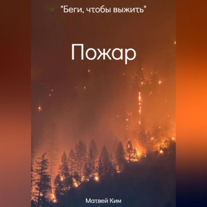 Скачать книгу Пожар