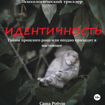 Скачать книгу Идентичность