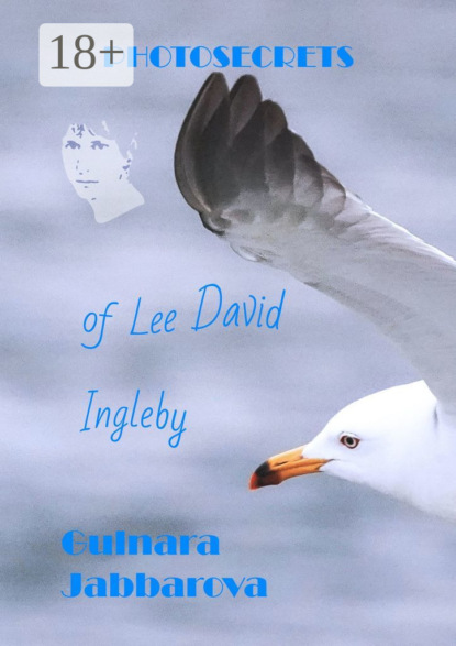 Скачать книгу Photosecrets of Lee David Ingleby