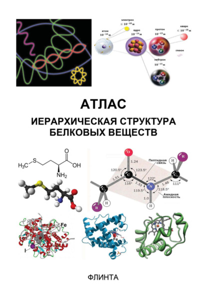 Скачать книгу Атлас: иерархическая структура белковых веществ