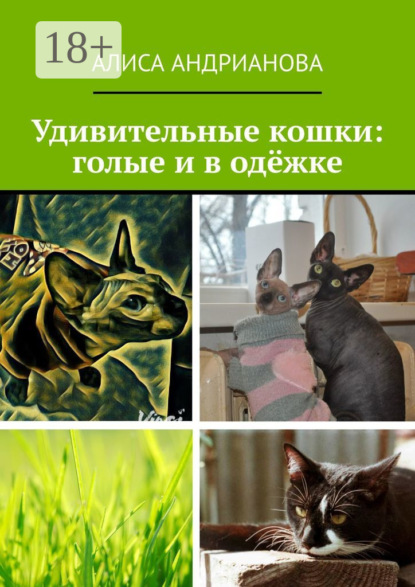 Скачать книгу Удивительные кошки: голые и в одёжке. Сказка для взрослых детей