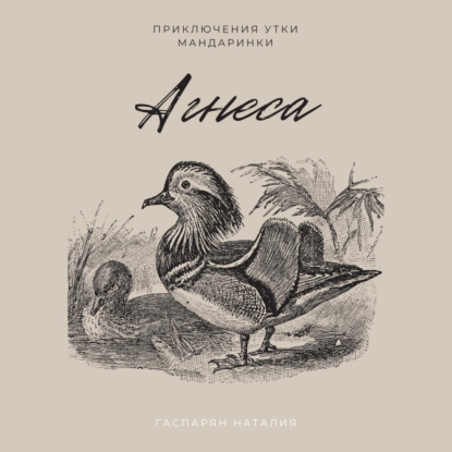 Скачать книгу Агнеса