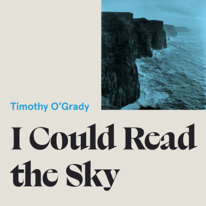 Скачать книгу I Could Read the Sky (Unabridged)