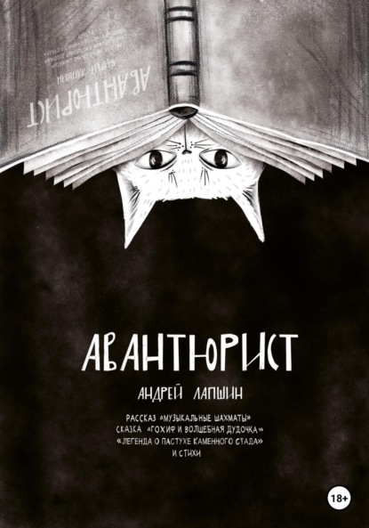 Скачать книгу Авантюрист