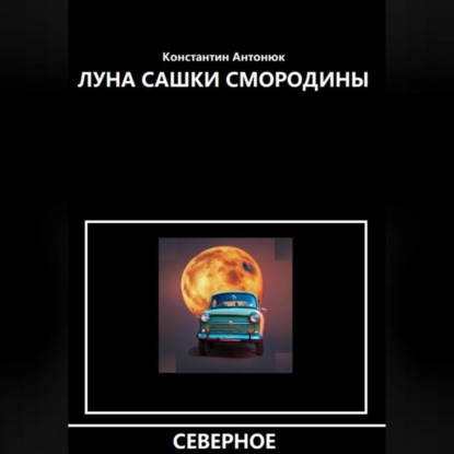 Скачать книгу Луна Сашки Смородины