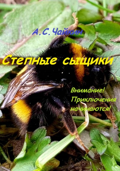 Степные сыщики