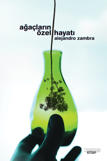 Скачать книгу Ağaçların Özel Hayatı