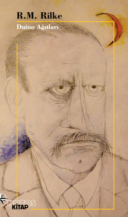 Скачать книгу Duino Ağıtları