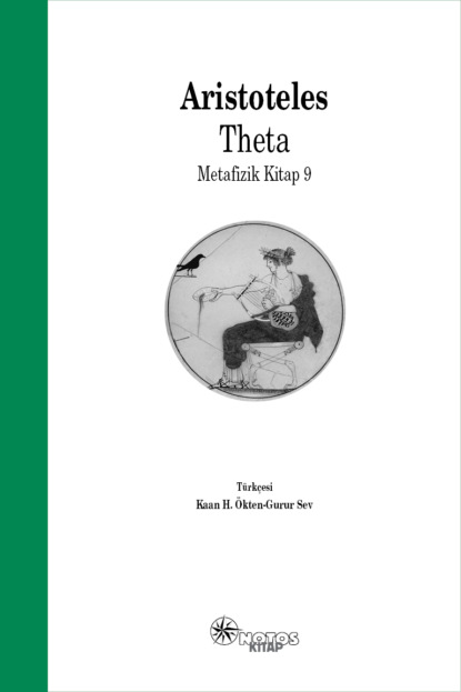 Скачать книгу Theta – Metafizik 9. Kitap