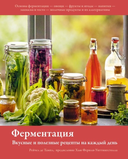 Скачать книгу Ферментация. Вкусные и полезные рецепты на каждый день
