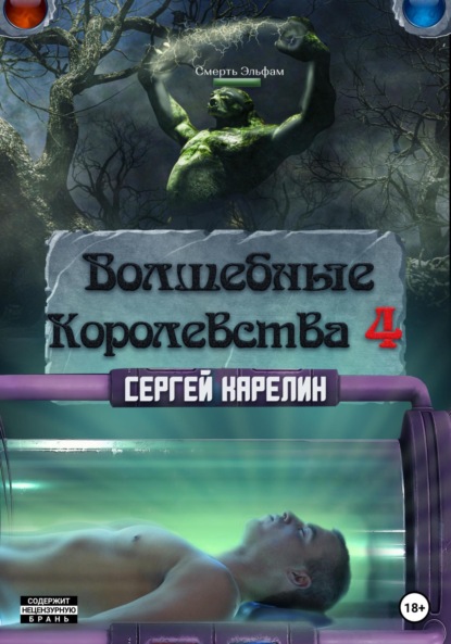 Волшебные королевства 4