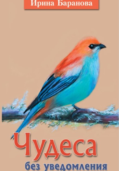 Скачать книгу Чудеса без уведомления