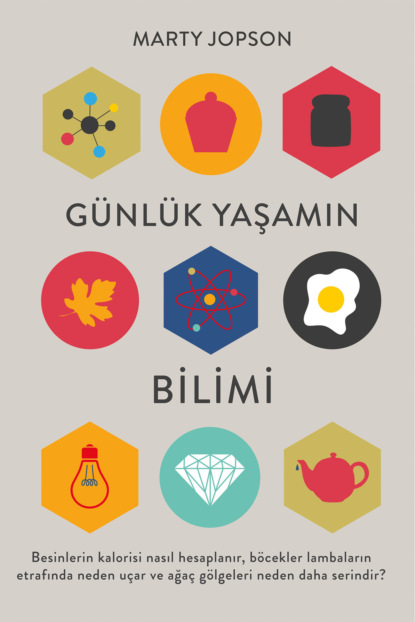 Скачать книгу Günlük yaşamın bilimi