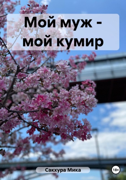 Скачать книгу Мой муж – мой кумир