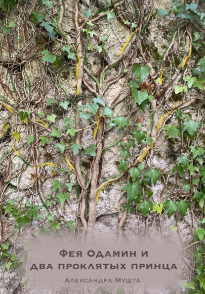 Скачать книгу Фея Одамин и два проклятых принца