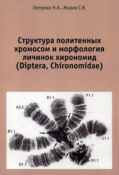 Скачать книгу Структура политенных хромосом и морфология личинок хирономид (Diptera, Chironomidae). Атлас