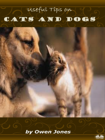 Скачать книгу Cats And Dogs