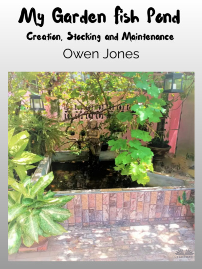 Скачать книгу My Garden Fish Pond