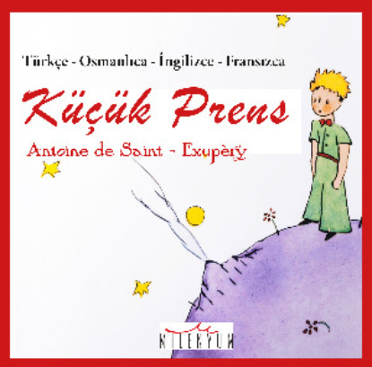 Скачать книгу İnsan Neyle Yaşar?