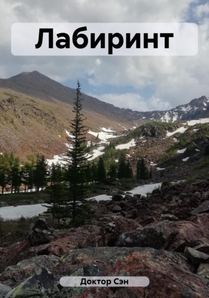 Скачать книгу Лабиринт