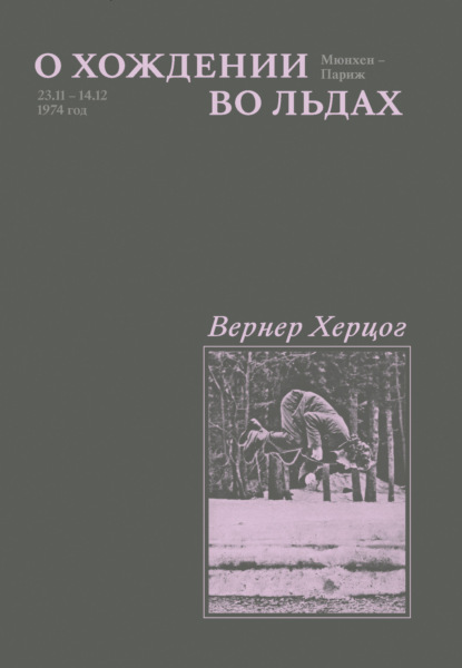 Скачать книгу О хождении во льдах