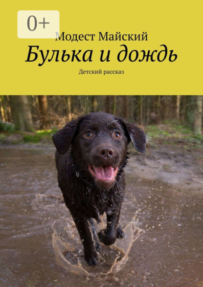 Скачать книгу Булька и дождь. Детский рассказ