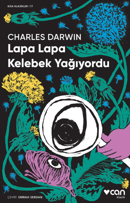 Скачать книгу Lapa Lapa Kelebek Yağıyordu