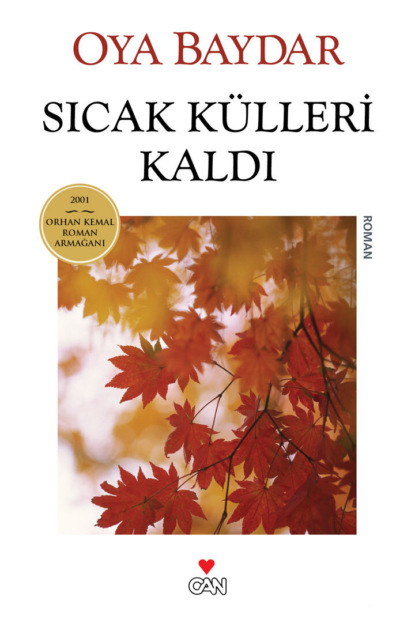 Скачать книгу Sıcak Külleri Kaldı