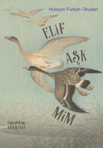Скачать книгу Elif Aşk Mim