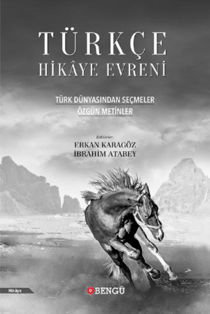 Скачать книгу Türkçe Hikâye Evreni: Özgün Metinler