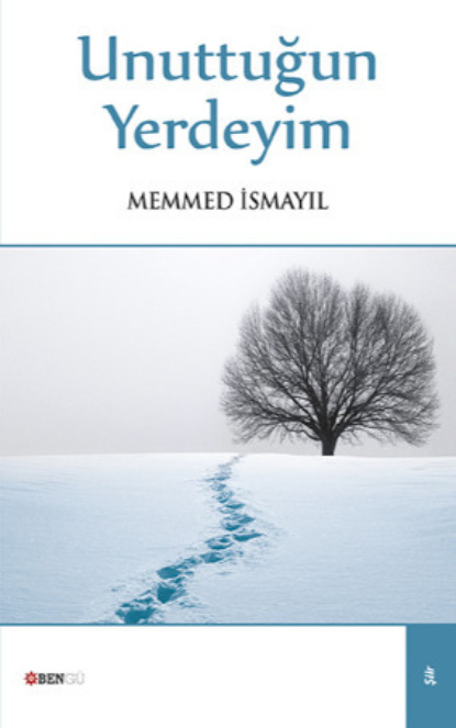 Скачать книгу Unuttuğun Yerdeyim