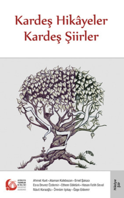 Скачать книгу Kardeş Hikâyeler Kardeş Şiirler