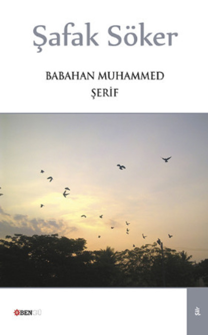 Скачать книгу Şafak Söker