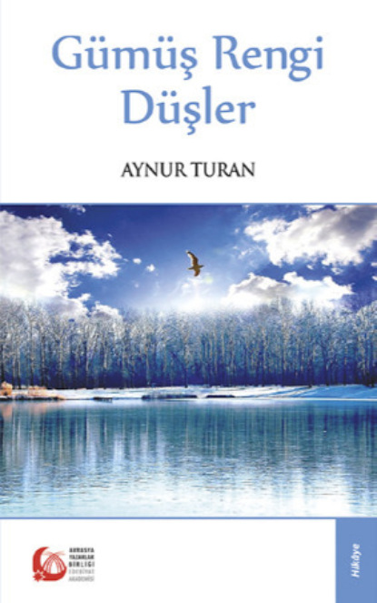 Скачать книгу Gümüş Rengi Düşler