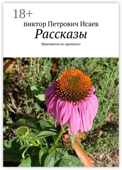 Скачать книгу Рассказы. Фрагменты из прошлого