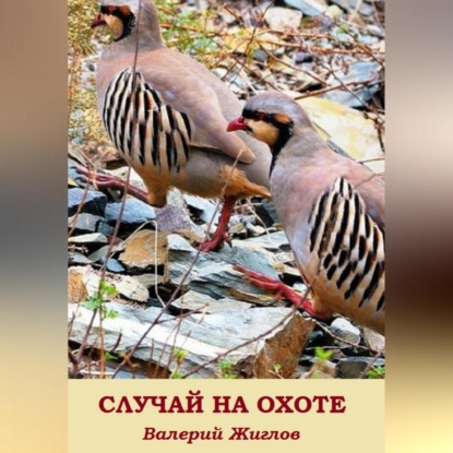 Скачать книгу Случай на охоте