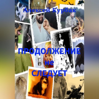 Скачать книгу Продолжение не следует