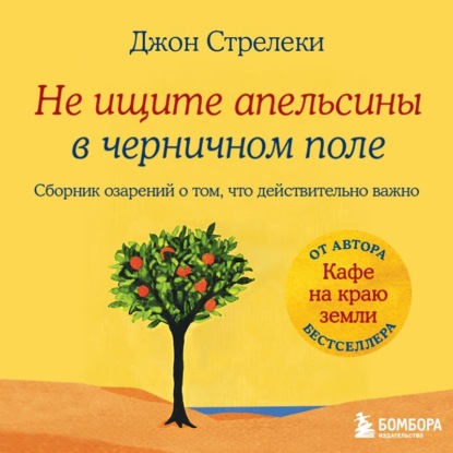 Скачать книгу Не ищите апельсины в черничном поле. Сборник озарений о том, что действительно важно