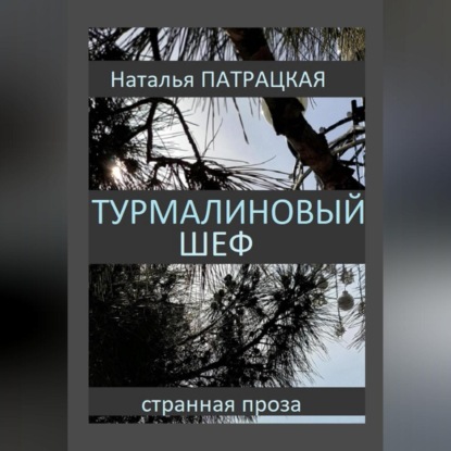 Скачать книгу Турмалиновый шеф