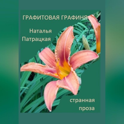 Скачать книгу Графитовая графиня