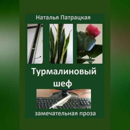 Скачать книгу Турмалиновый шеф