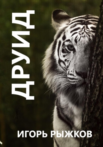 Скачать книгу Друид