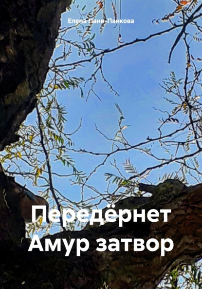 Скачать книгу Передёрнет Амур затвор