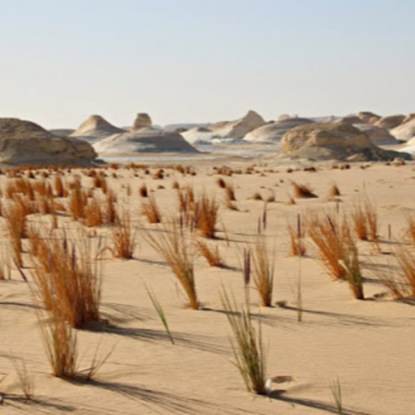 Скачать книгу Додинастический Египет Ч1