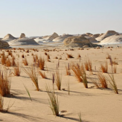 Скачать книгу Додинастический Египет(Часть2)