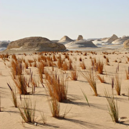 Скачать книгу Додинастический Египет(Часть3-4)