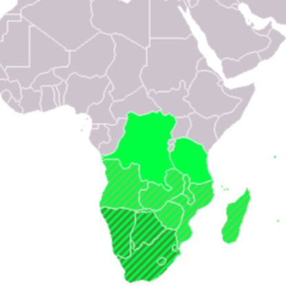 Скачать книгу История Южной Африки