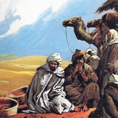 Скачать книгу Ислам, арабы, халифат