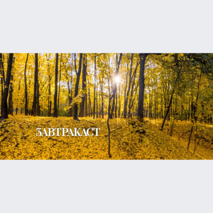 Скачать книгу Завтракаст №265 – Lonely Island