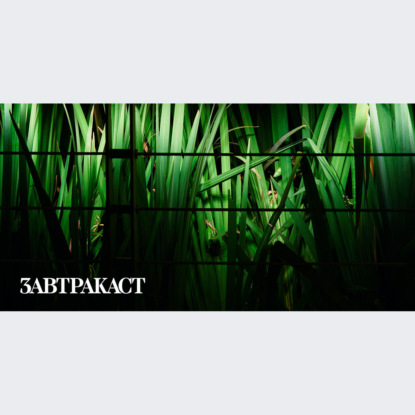 Скачать книгу Завтракаст №266 – Ярмарка творческого банкротства